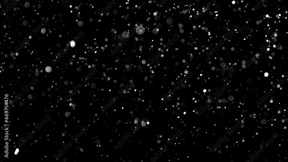 Natural Organic Dust Particles Floating On Black Background. Dynamic Dust Particles Randomly Float In Space. Shimmering Glittering Dust Particles With Bokeh. Slow motion on Black Background. Natural Organic Dust Particles Floating On Black Background. Dynamic Dust Particles Randomly Float In Space. Shimmering Glittering Dust Particles With Bokeh. Slow motion on Black Background.