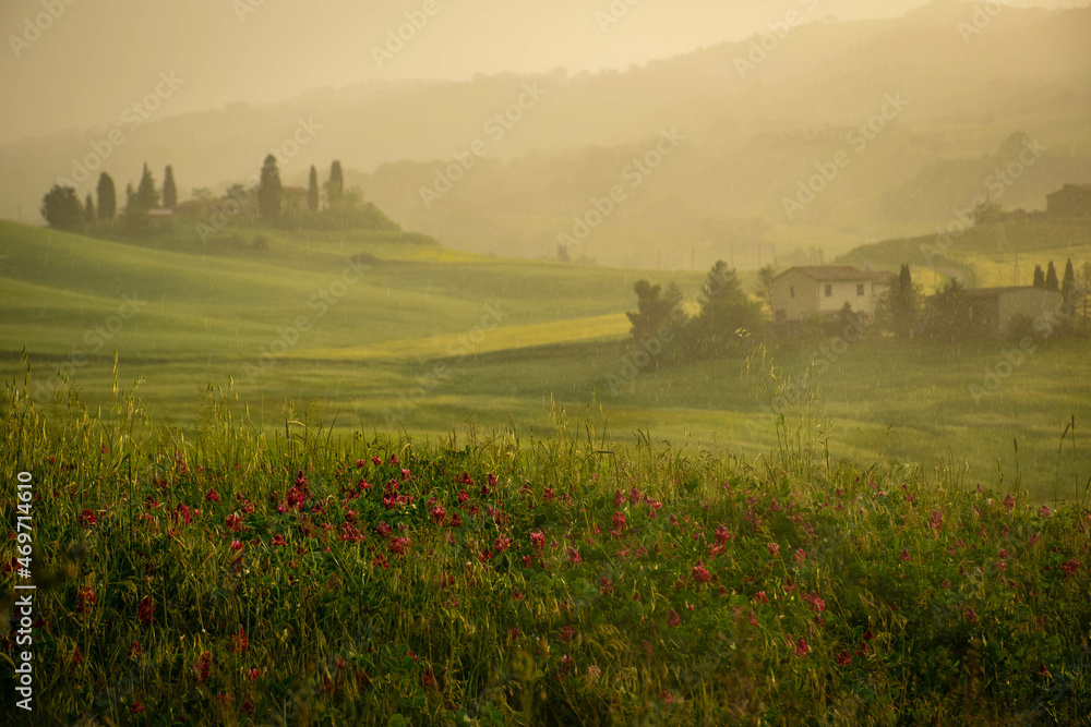 Tuscany, Italy, 2019, fog at sunset in a valley with farm houses, in the foreground red flowers