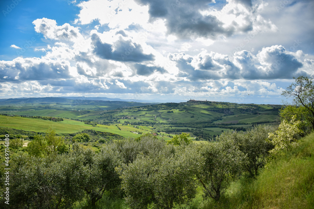 Tuscany, Italy, May 2018, a view of a green valley from a height, in the foreground an olive garden