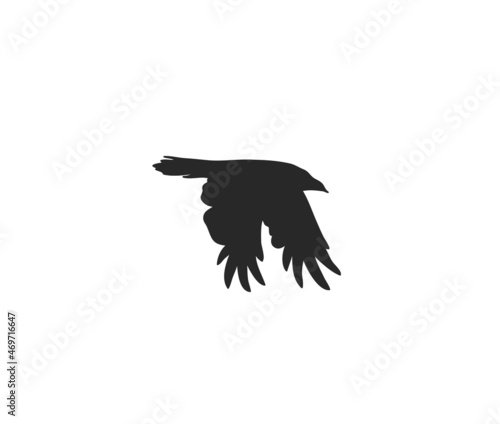 Hand drawn vector abstract stock flat graphic illustration with logo element,mystic tribal magic line silhouette art of flying crow in simple style for branding,isolated on white background.