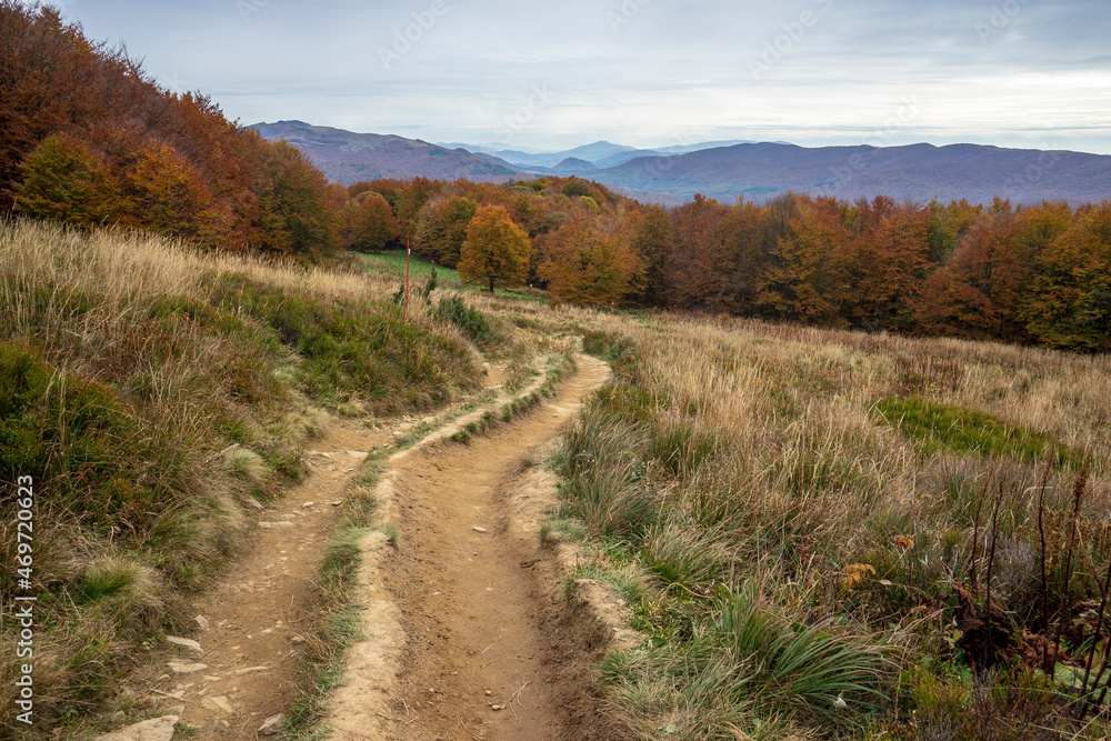 Autumn in the Bieszczady Mountains. Hiking trail to Polonina Carynska.