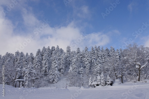 北海道の旭岳の風景