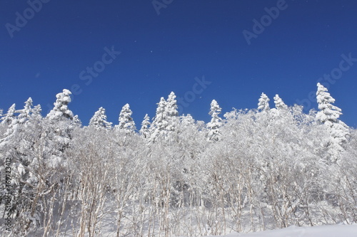 北海道の旭岳の風景