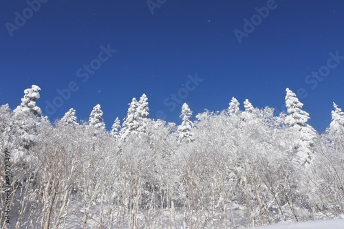 北海道の旭岳の風景