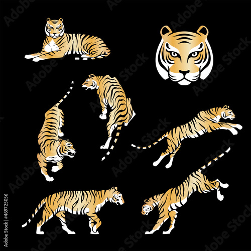 Tiger gold background Happy new year 2022 design vector illustration Tigers logotype golden