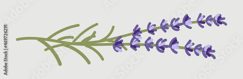 Blue flower sticker. Brushwood for lighting stove. Graphic elements for site. Aromatherapy, delicious plant scent. Spa, pleasant and healthy oils, relaxation, comfort. Cartoon flat vector illustration