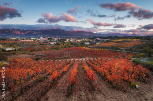 countryside view of famous winery in la rioja, Spain photo