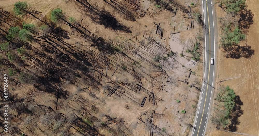 Aerial drone view of Dead trees ravaged by wildfire in california Aerial drone view of Dead trees ravaged by wildfire in california