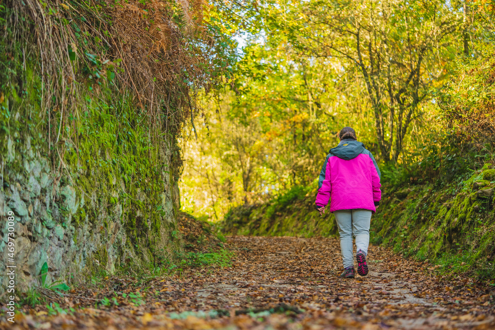 back of a woman walking on a dirt road in the forest back of a woman walking on a dirt road in the forest