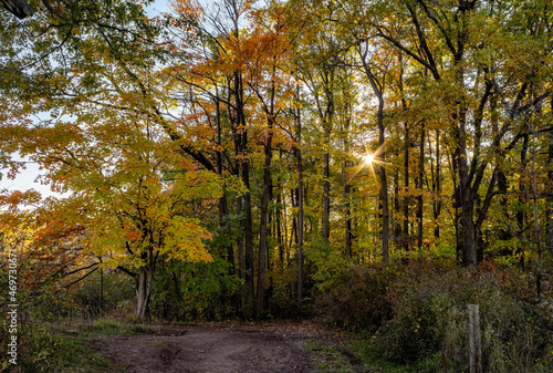 Kerncliff Park in autumn, Burlington, Ontario, Canada