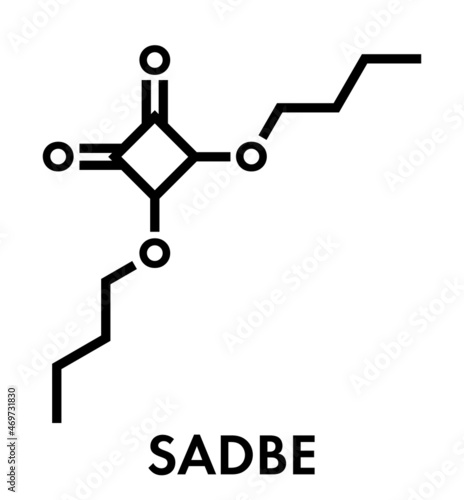 Squaric acid dibutyl ester drug molecule. Skeletal formula.