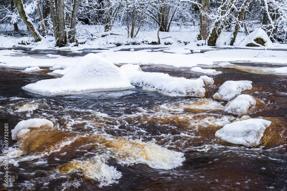 Fototapeta premium River with ice and snow in a wintry forest