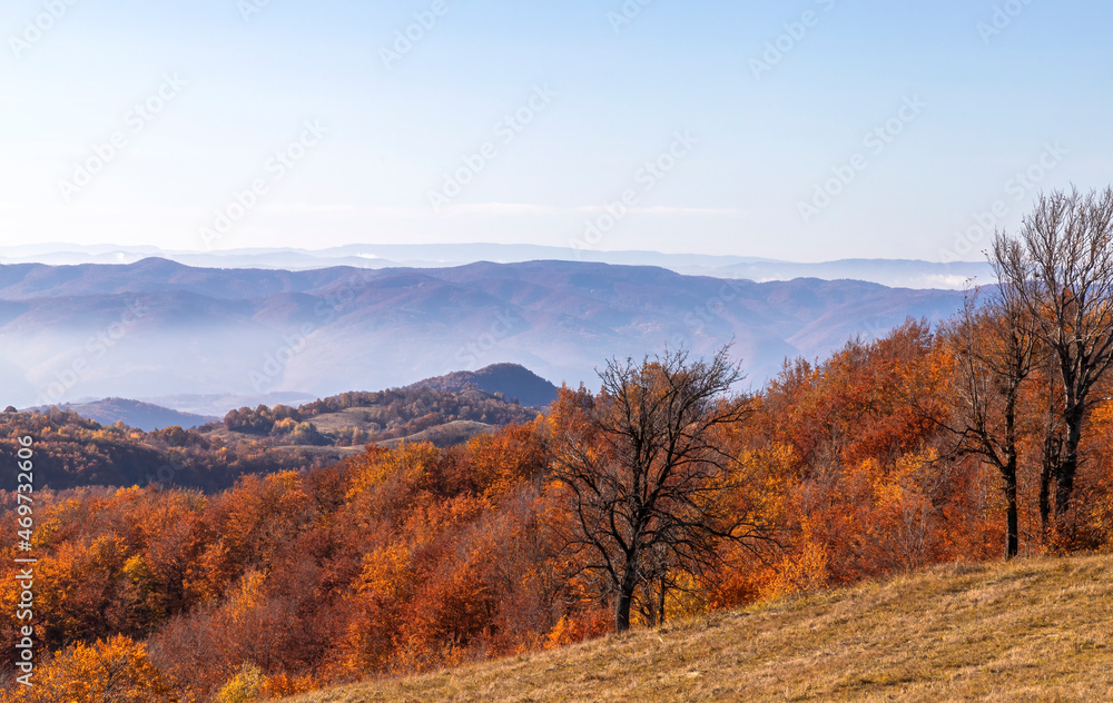 Autumn on the mountain background