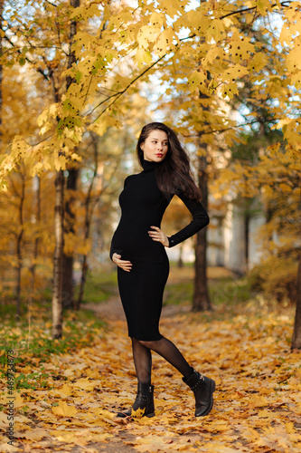 Young beautiful pregnant woman with dark hair in a black tight dress posing on an autumn meadow in the park