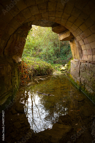 Interior de un puente en otoño con un árbol reflejado en el agua del río © David
