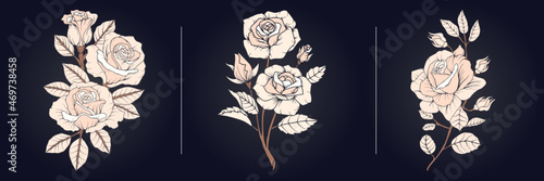 Beautiful background with roses Premium Vector