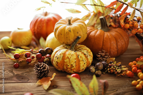 autumn background with pumpkins and colorful leaves on wooden background. Halloween or Thanksgiving Day design