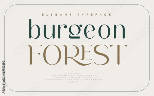 Vintage and classic alphabet font set design. Vector illustration typeface. Decorative serif fonts collection. Ligature collective designs.