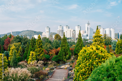 Obraz na płótnie View of Hanbat Arboretum and modern buildings at autumn in Daejeon, Korea w salonie