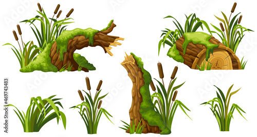 Stump in moss with reeds. Cartoon log, cattail in swamp jungle. Broken tree in fungus and bulrush. Isolated vector element on white background.