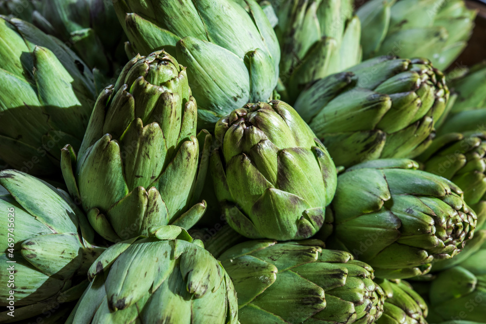 A lot of fresh organic artichokes, on a tray, before cooking in a restaurant. Cynara scolymus. Asteraceae family A lot of fresh organic artichokes, on a tray, before cooking in a restaurant. Cynara scolymus. Asteraceae family
