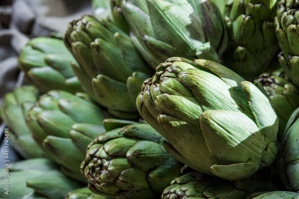 Fototapeta premium A lot of fresh organic artichokes, on a tray, before cooking in a restaurant. Cynara scolymus. Asteraceae family