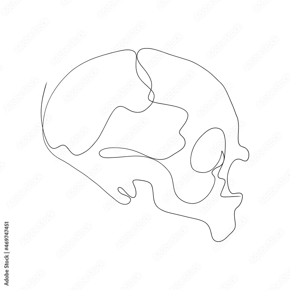 one line skull, modern minimalist style, human anatomy one line skull, modern minimalist style, human anatomy
