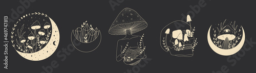 abstract mystical image of wild poisonous witch mushrooms. cosmic moon phases and rituals