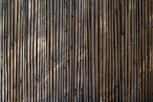 Natural detailed bamboo textured wall as a background