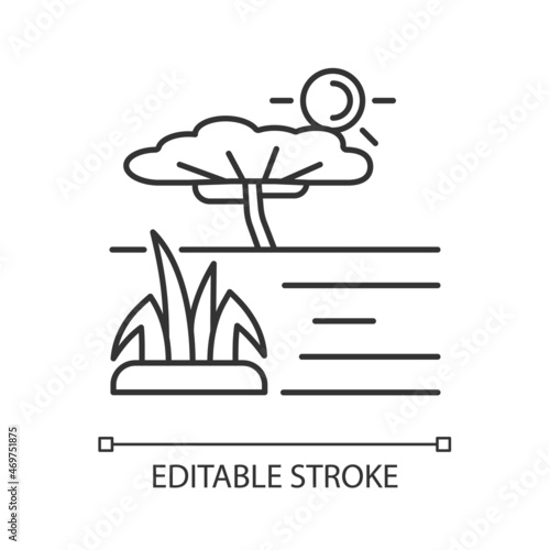 Savanna linear icon. African grassland and woodland. Plain tropical land with separated trees. Thin line customizable illustration. Contour symbol. Vector isolated outline drawing. Editable stroke
