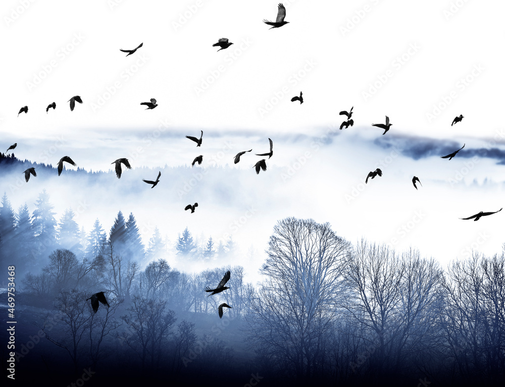 Fototapeta premium flying birds and morning fog and a forest