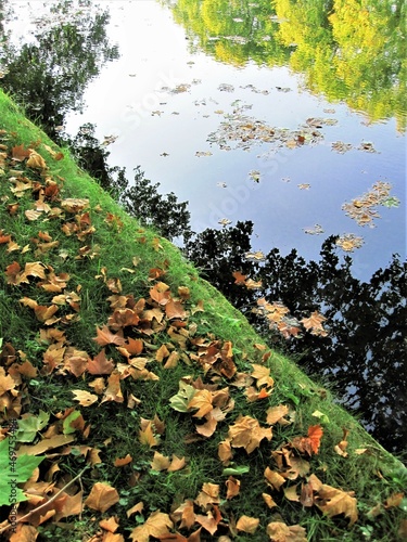 Relets dans un bassin d'automne