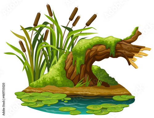 Stump in moss in marsh. Cartoon log in swamp jungle. Broken tree oak, salvinia, water lily. Isolated vector element on white background.