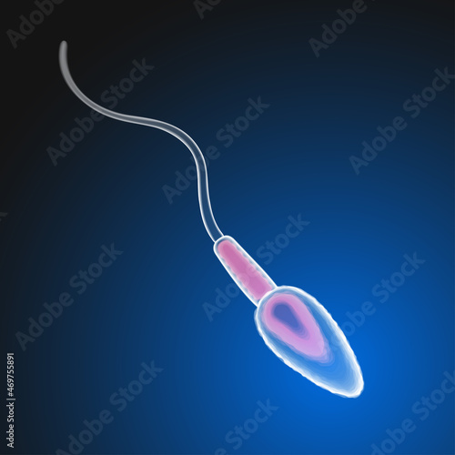 A picture of one sperm in a swimming position is educational and medical. photo