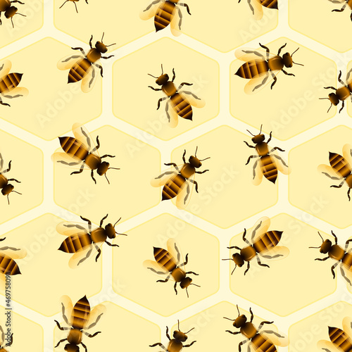 Vector glossy bees on honeycomb pattern © Skutiherra
