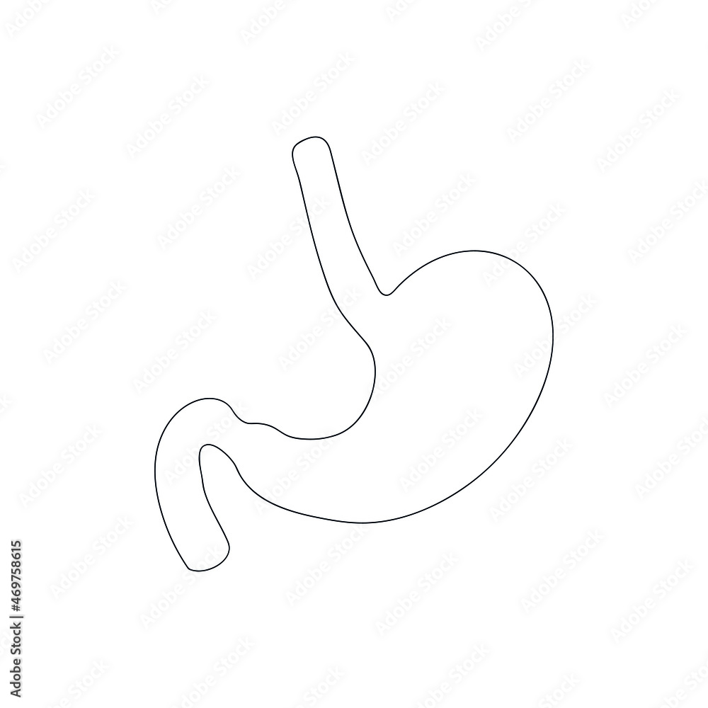 Stomach drawn by one line. Anatomical sketch. Continuous line drawing human organ. Simple vector illustration. Stomach drawn by one line. Anatomical sketch. Continuous line drawing human organ. Simple vector illustration.