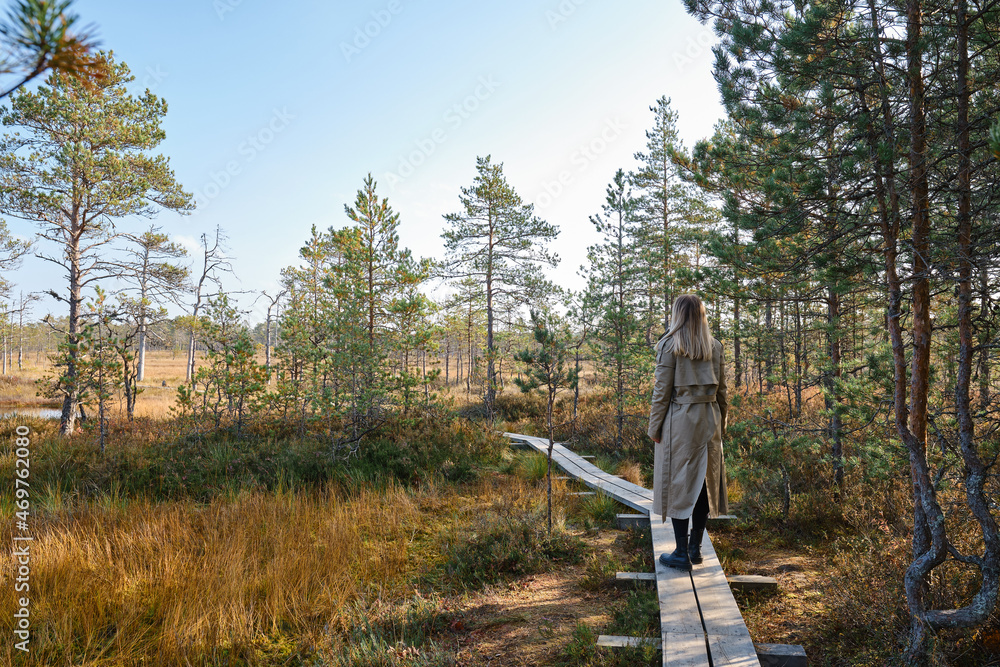 A woman walks along a scenic wooden decking nature trail in Lahemaa National Park in Estonia. The road leads through the Viru peat bog. Travel and exploration. Healthy lifestyle, active rest A woman walks along a scenic wooden decking nature trail in Lahemaa National Park in Estonia. The road leads through the Viru peat bog. Travel and exploration. Healthy lifestyle, active rest