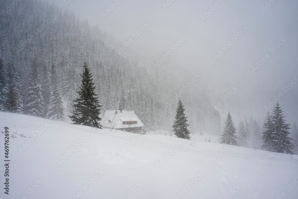 Snow blizzard and bad weather in the Tatras. Hala Kondratowa. Snow blizzard and bad weather in the Tatras. Hala Kondratowa.