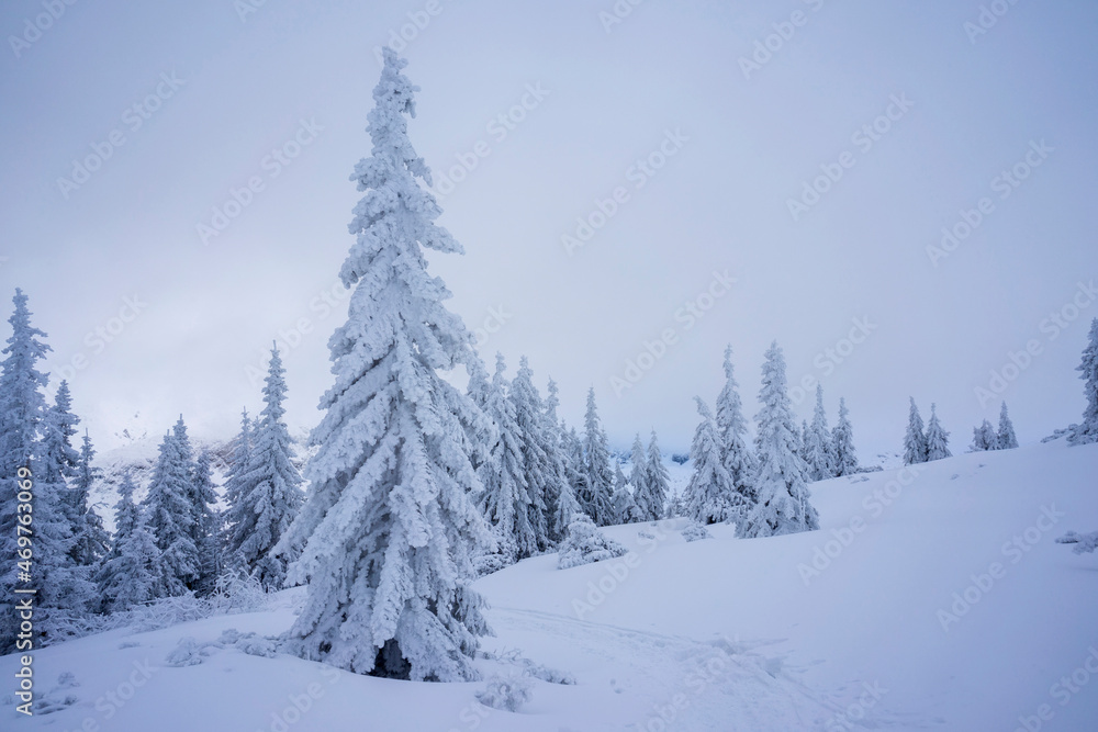 Winter landscape of the Tatra Mountains. Hiking trail to Gasienicowa Valley. Winter landscape of the Tatra Mountains. Hiking trail to Gasienicowa Valley.