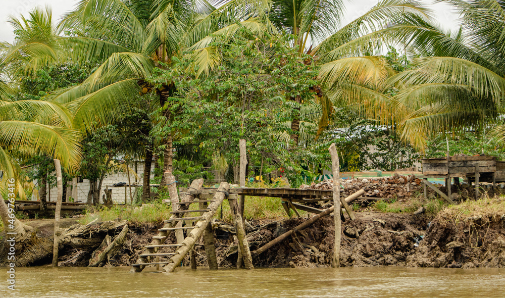 Obraz premium palm trees in the river of ecuador