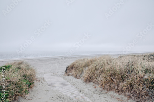 Fototapeta Naklejka Na Ścianę i Meble -  Path made of wooden slats. Path between the dunes on the North Sea. Vacation in the country by the North Sea 
