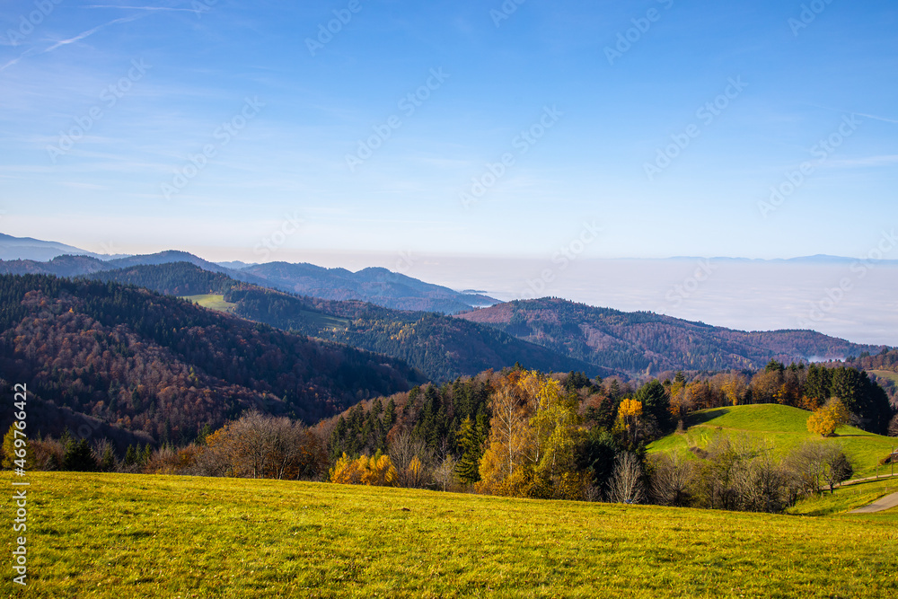 Fototapeta premium Geiersnest_6506