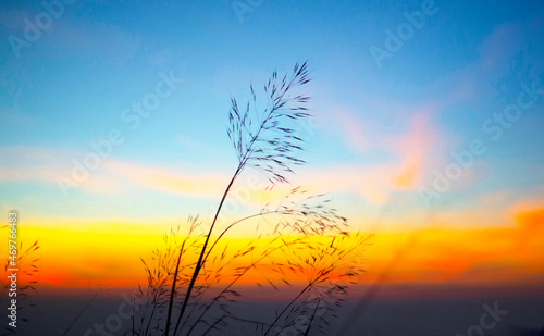 Natural atmosphere silhouette colorful background