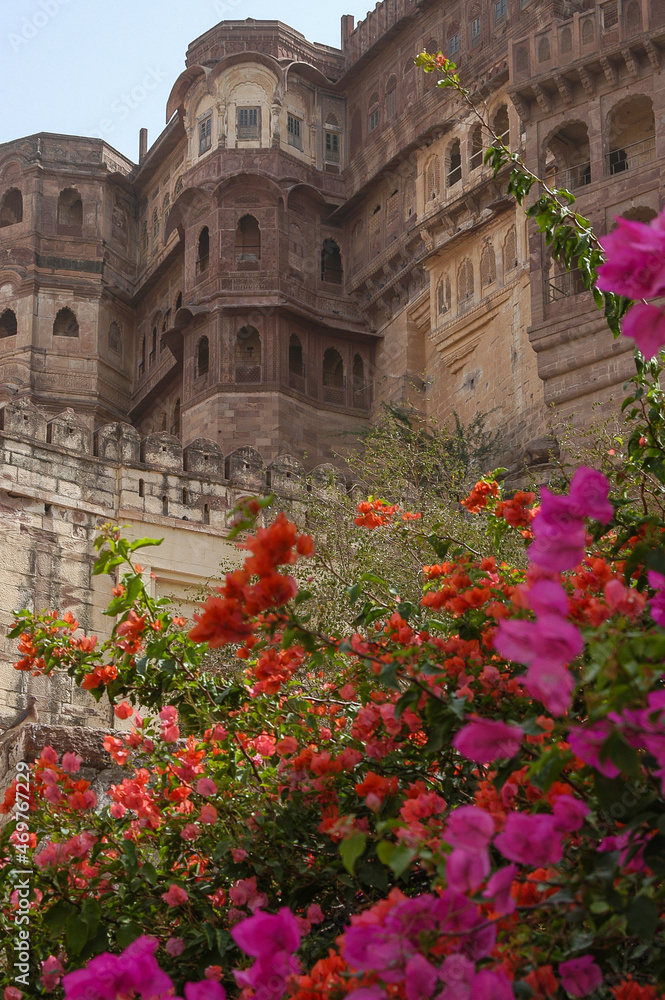 Obraz premium Flores y muros del fuerte Mehrangarh en las afueras de la ciudad de Jodhpur en Rajastán, India