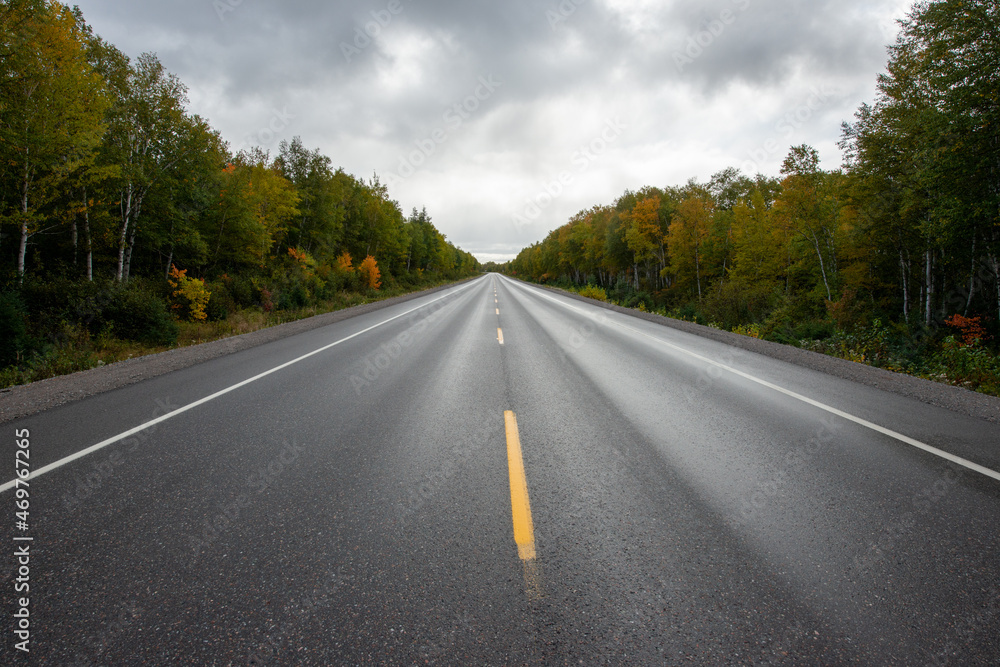A single yellow line divides a two lane paved highway. The road is wet and on both sides are trees, shrubs, and pants with autumn colors. The road is long and straight with blue sky and clouds. A single yellow line divides a two lane paved highway. The road is wet and on both sides are trees, shrubs, and pants with autumn colors. The road is long and straight with blue sky and clouds.