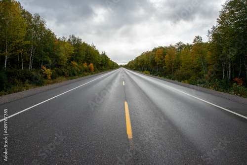 A single yellow line divides a two lane paved highway. The road is wet and on both sides are trees, shrubs, and pants with autumn colors. The road is long and straight with blue sky and clouds.