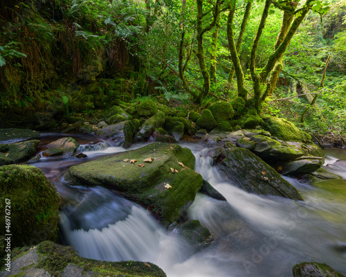 Dim late summer lighting at a waterfall