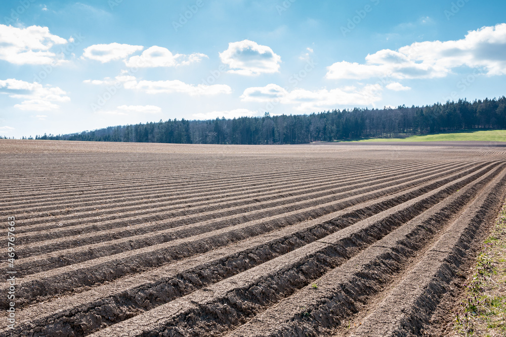 Obraz premium Big brown fields of fertile soil and green forest in the background