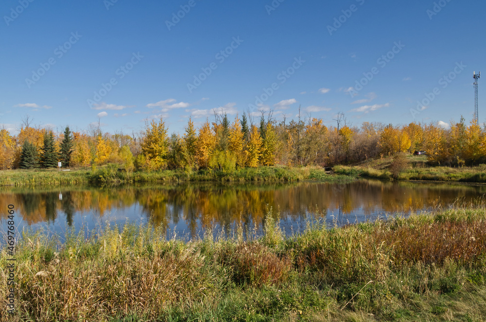 Pylypow Wetlands on a Clear Autumn Day