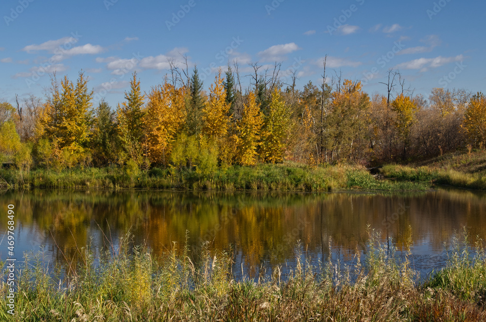 Fototapeta premium Pylypow Wetlands on a Clear Autumn Day